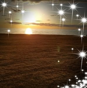 Meet your Posher, Sheila